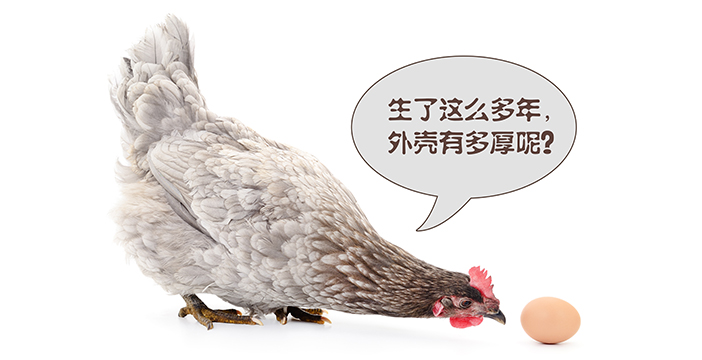 超聲波測厚儀